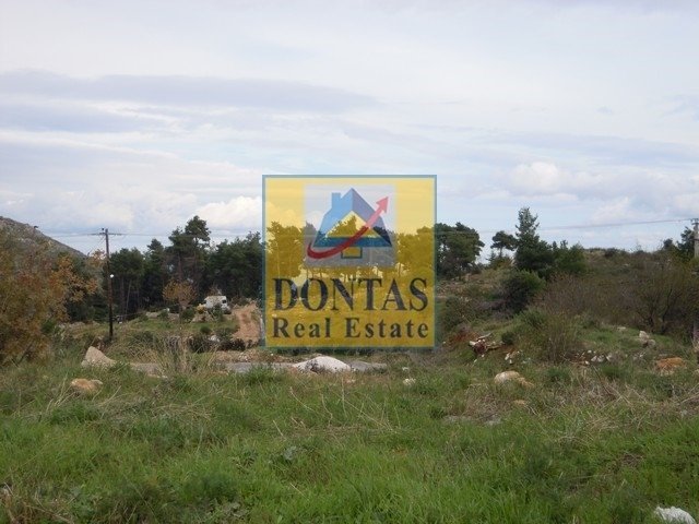 Land in Dionysos, Attica, Greece 4 - 16155739