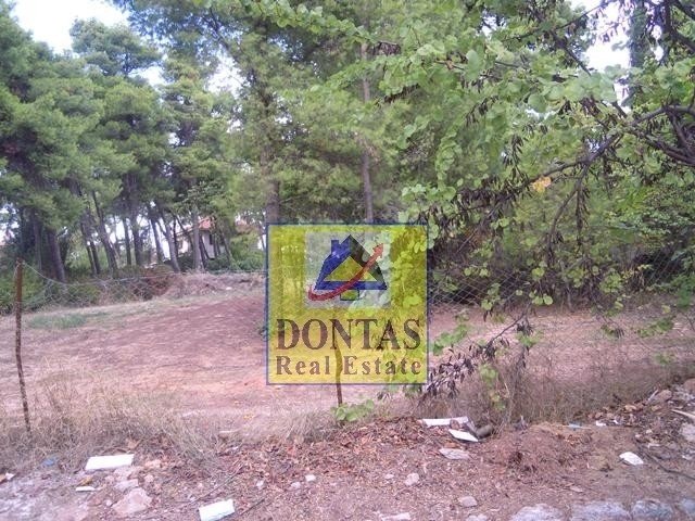 Land in Ekali, Attica, Greece 3 - 16155744