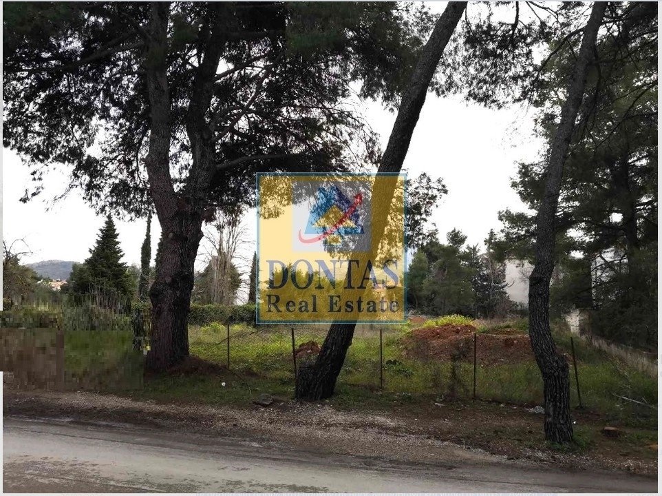 Land in Dionysos, Attica, Greece 1 - 16155788