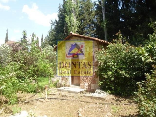 Land in Ekali, Attica, Greece 5 - 16155781