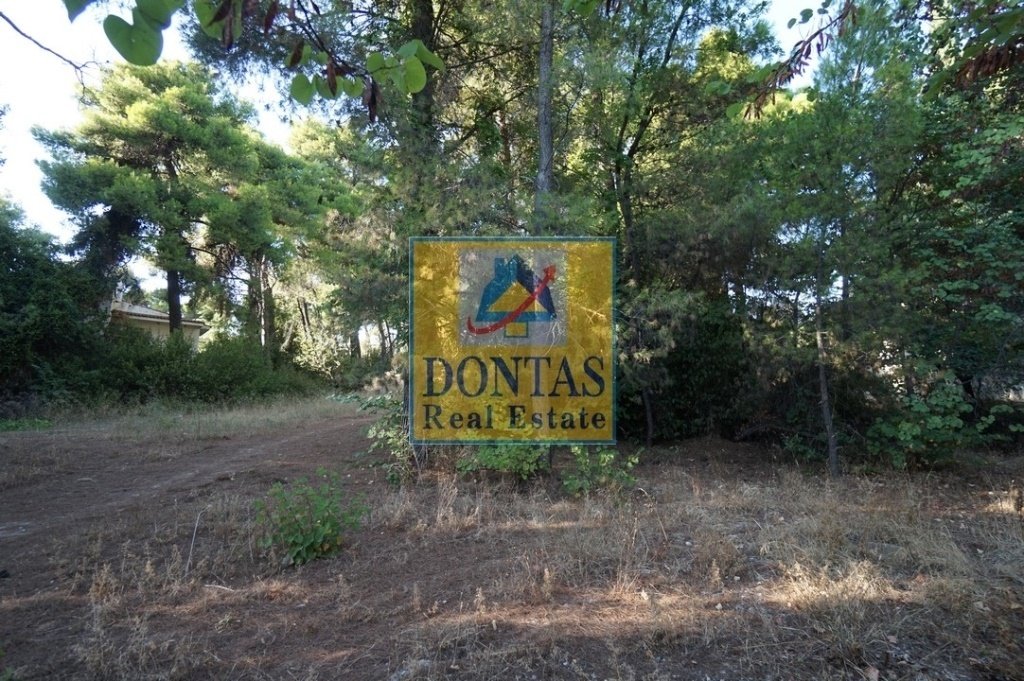 Land in Ekali, Attica, Greece 2 - 16155744