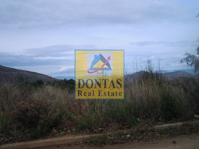 Land in Dionysos, Attica, Greece 3 - 16155738