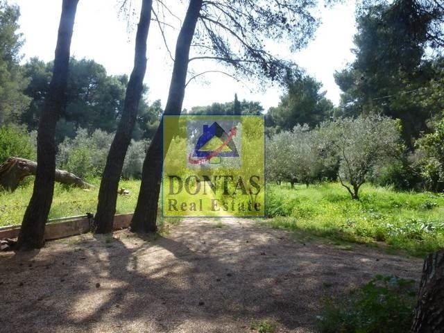 Land in Ekali, Attica, Greece 3 - 16155781