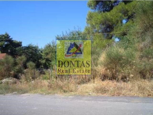 Land in Dionysos, Attica, Greece 4 - 16155792