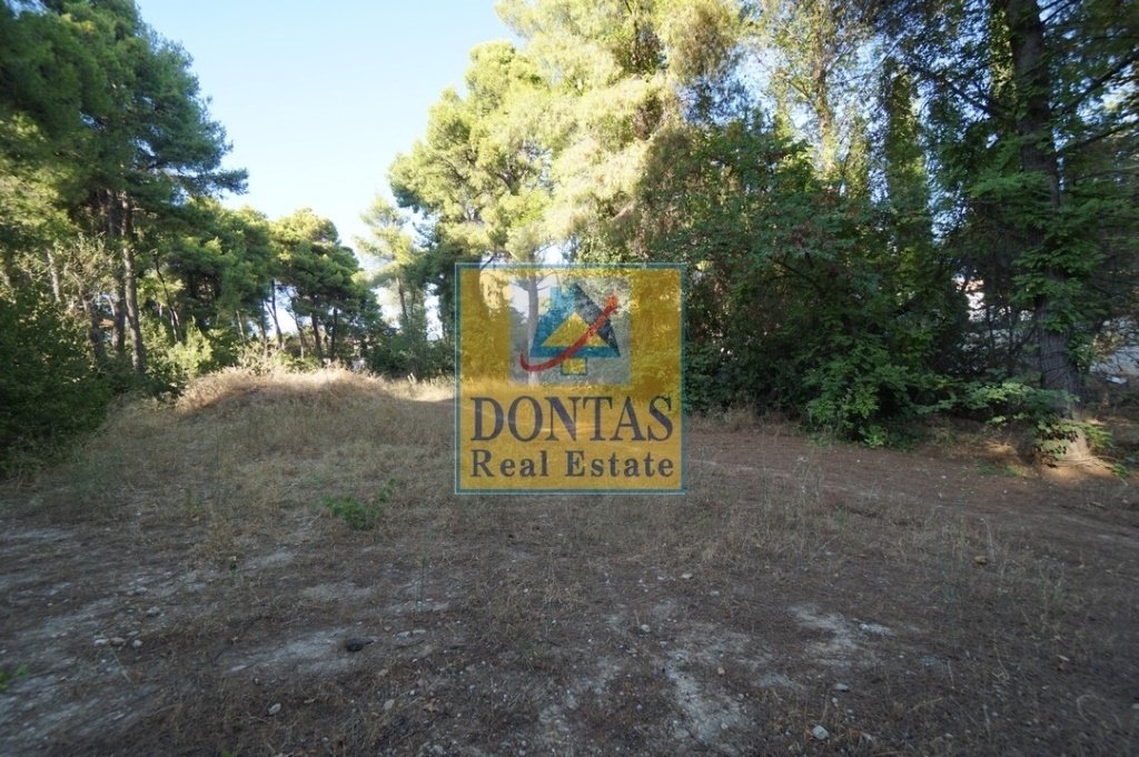 Land in Ekali, Attica, Greece 1 - 16155744