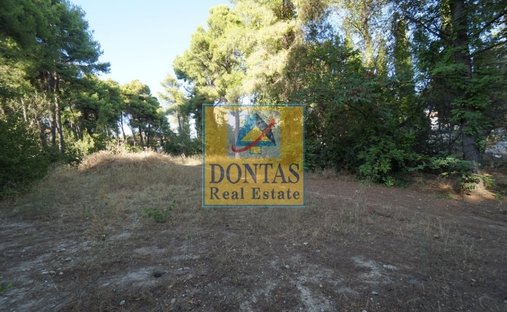 Terrain à Ekali, Attique, Grèce 1