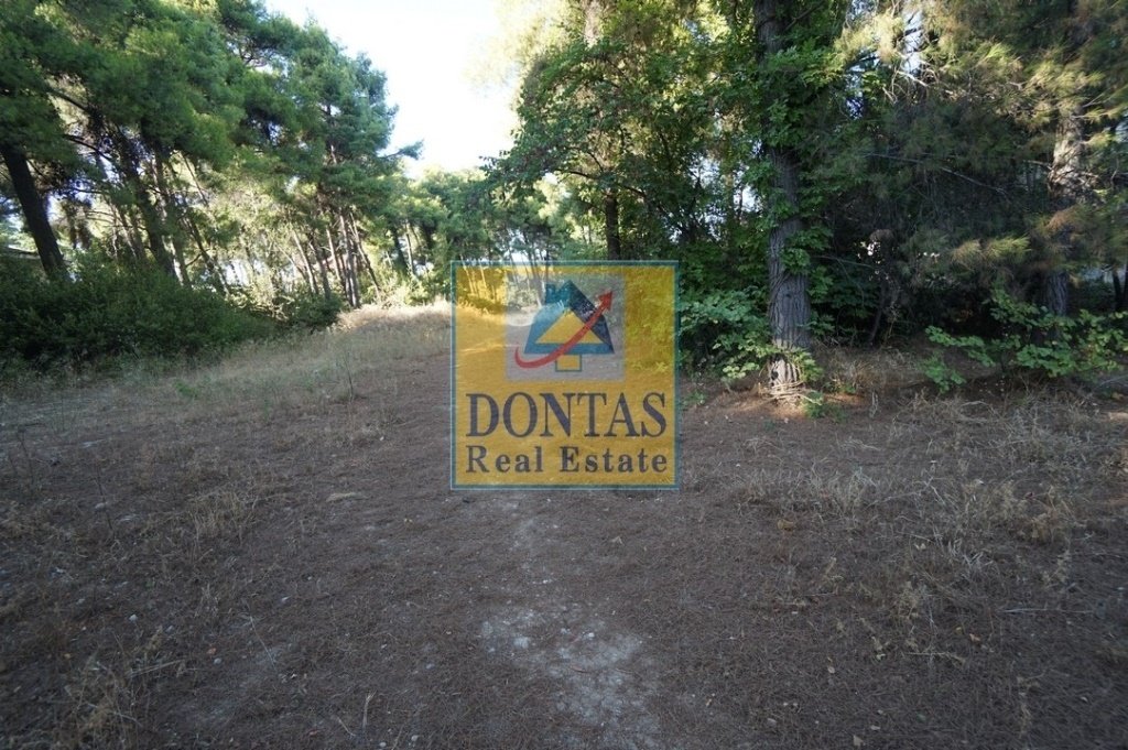 Land in Ekali, Attica, Greece 5 - 16155744