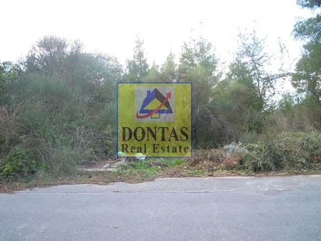 Land in Dionysos, Attica, Greece 2 - 16155792