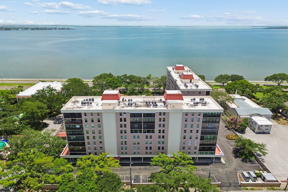 Condo in Tampa, Florida, United States 2 - 18472735