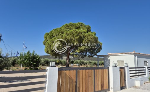 Land in Ermioni, Peloponnese, Western Greece and the Ionian, Griechenland 1
