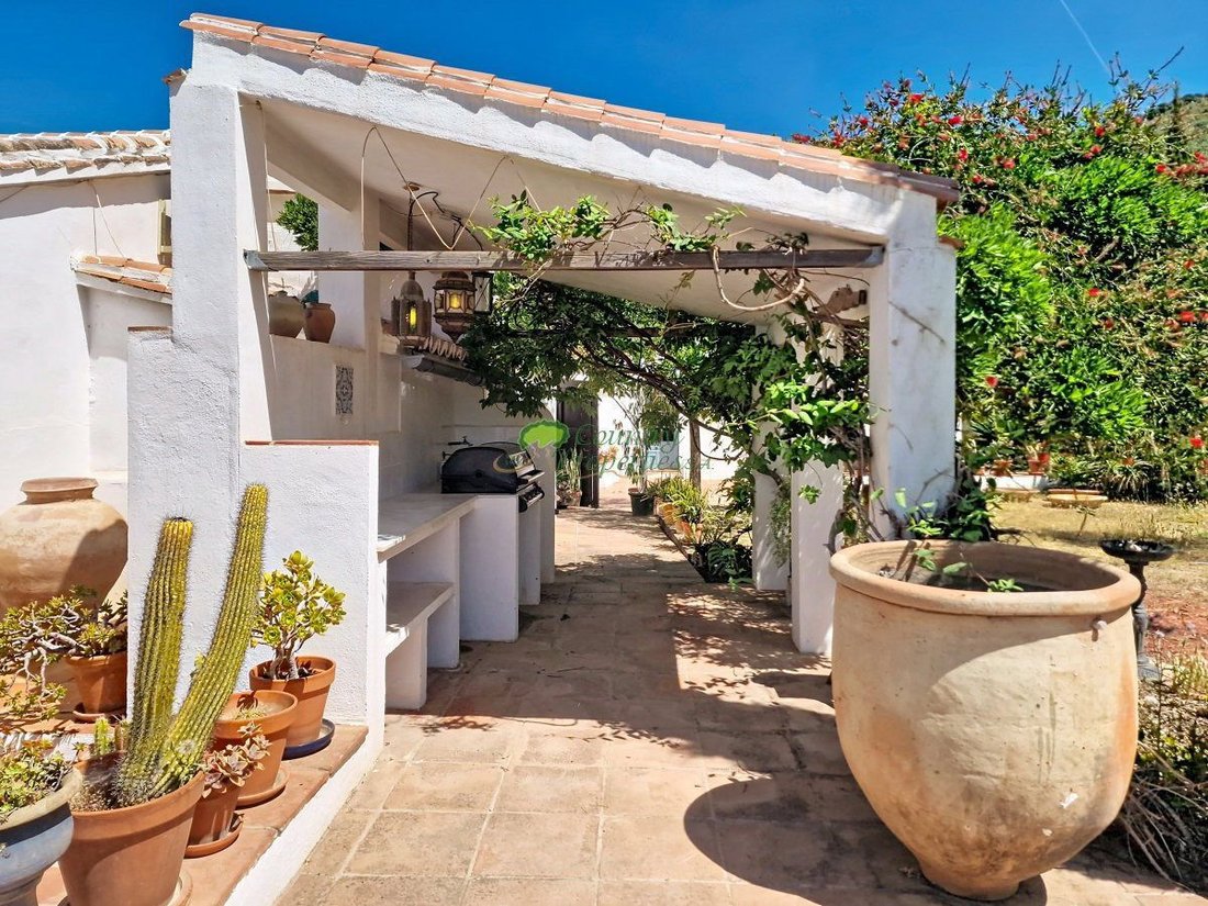 Country House in Velez-Malaga, Andalusia, Spain 5 - 18473053