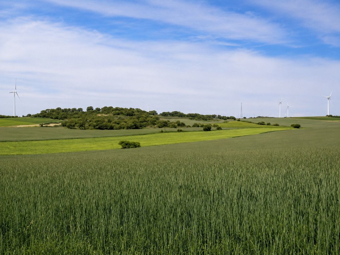 Rancho en Gurrea de Gallego, Aragón, España 1 - 18473067