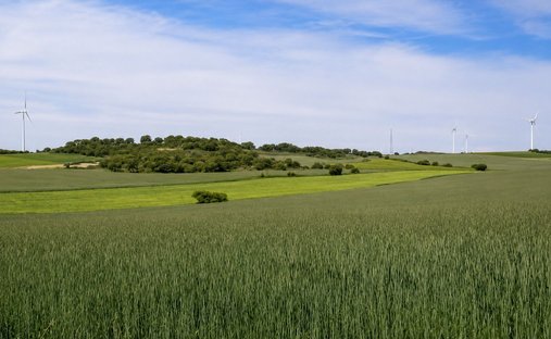 Azienda agricola a Gurrea de Gallego, Aragona, Spagna 1