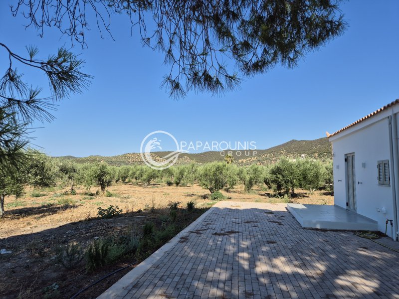 Land in Ermioni, Peloponnese, Western Greece and the Ionian, Greece 2 - 18473034