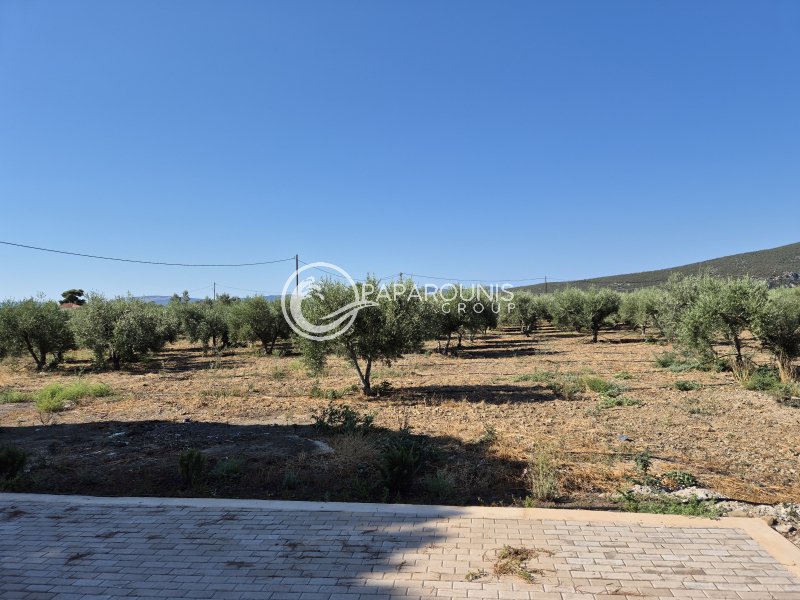 Land in Ermioni, Peloponnese, Western Greece and the Ionian, Greece 3 - 18473034