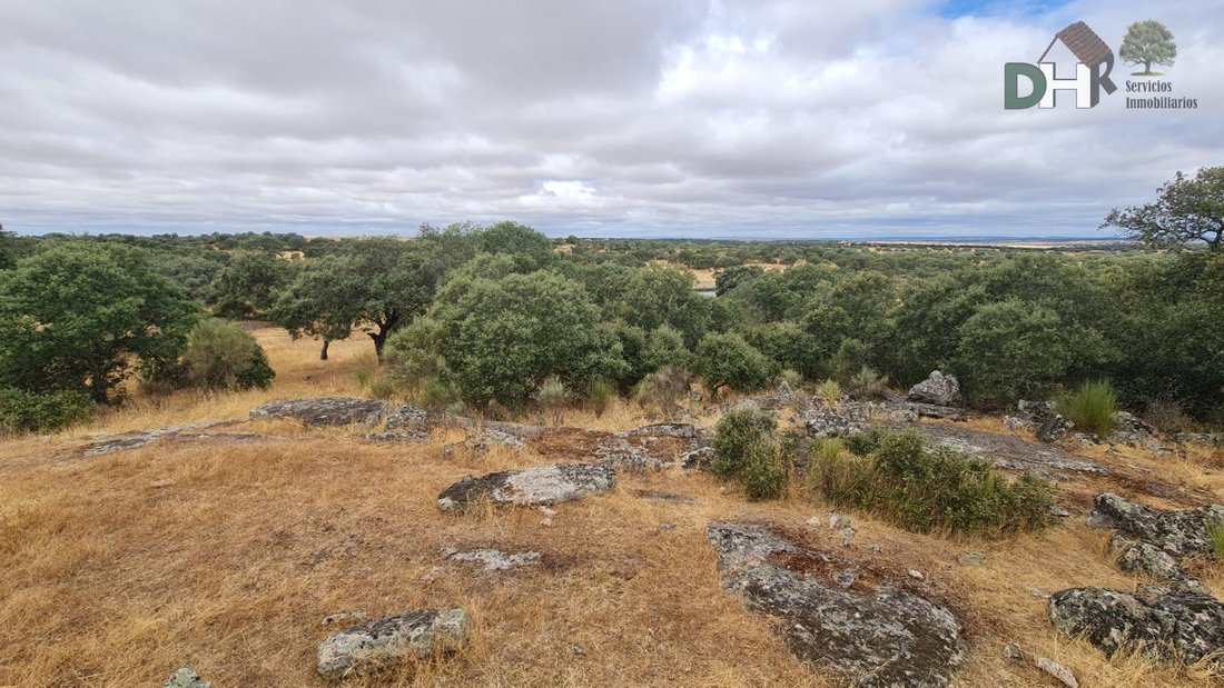 Terreno a Cáceres, Estremadura, Spagna 5 - 18474346
