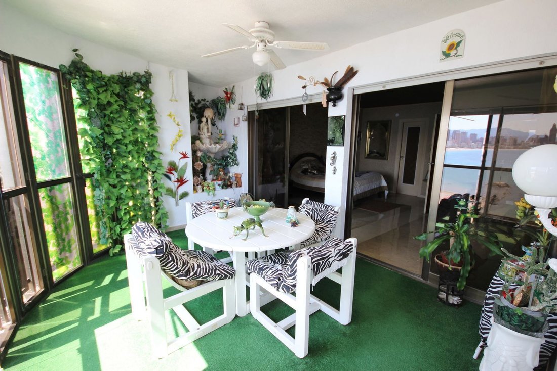 Apartment in Benidorm, Valencian Community, Spain 1 - 18473893