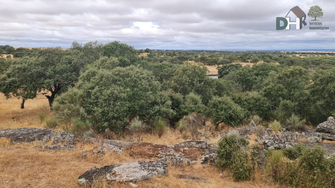 Terreno a Cáceres, Estremadura, Spagna 4 - 18474346