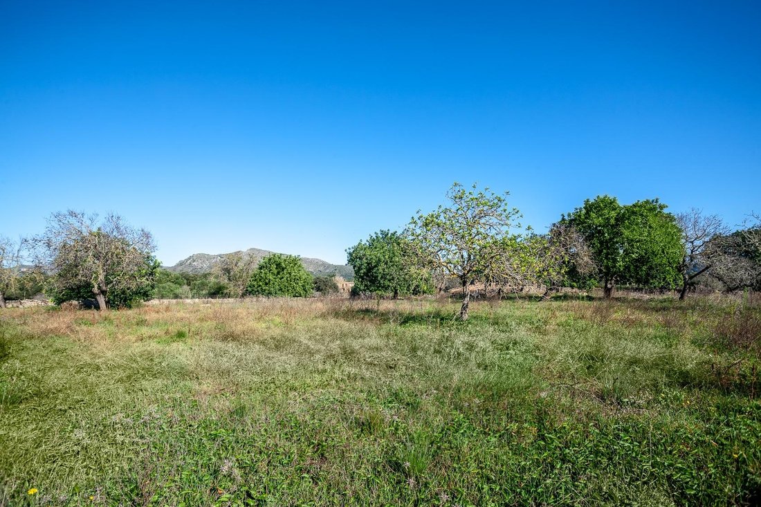 Terreno a Artà, Isole Baleari, Spagna 4 - 16188343