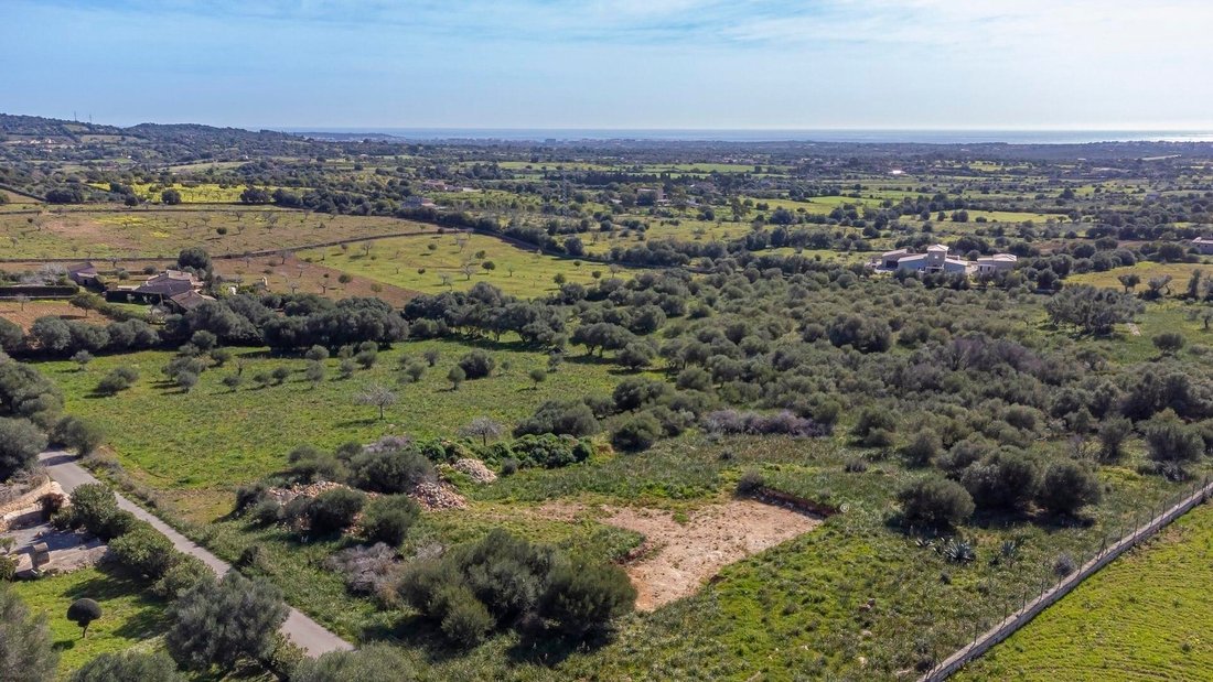 Land in Sant Llorenc des Cardassar, Balearic Islands, Spain 3 - 16225438