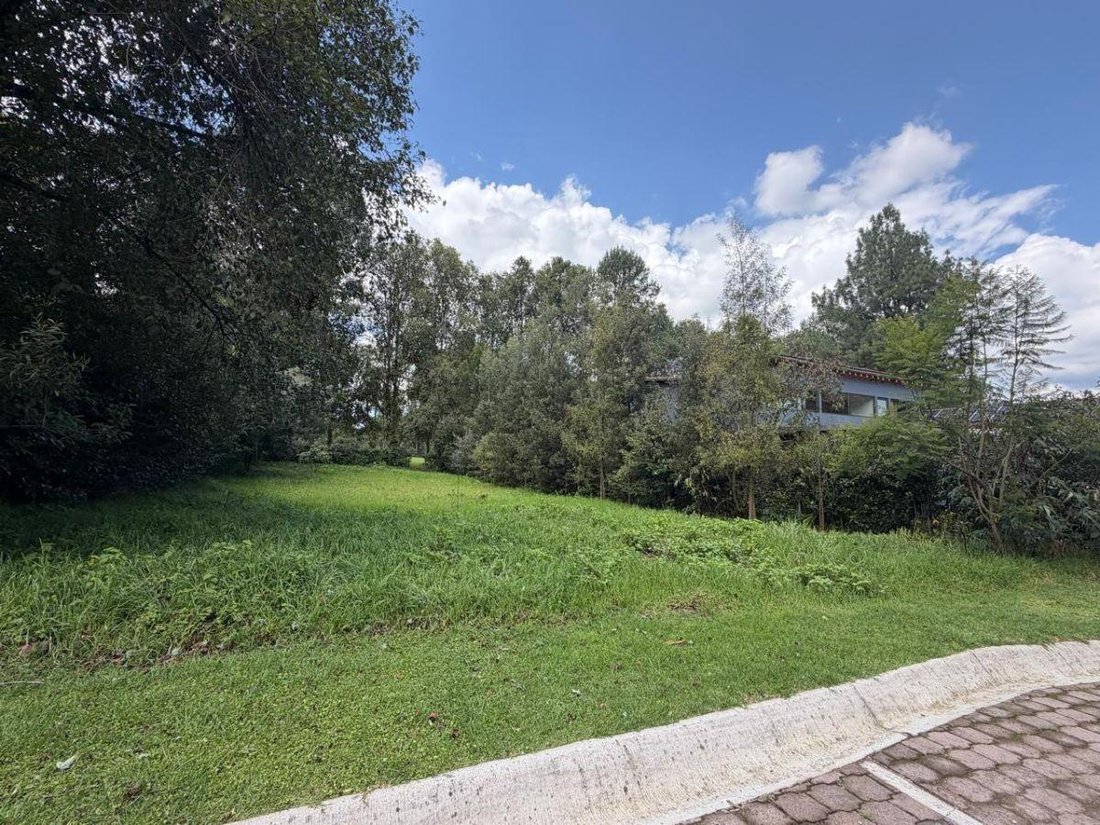 Land in Valle de Bravo, State of Mexico, Mexico 2 - 18473731