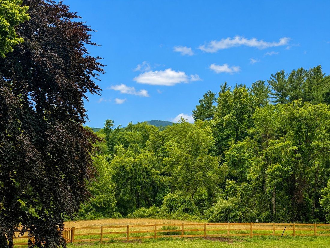 House in Frederick, Maryland, United States 2 - 18473532