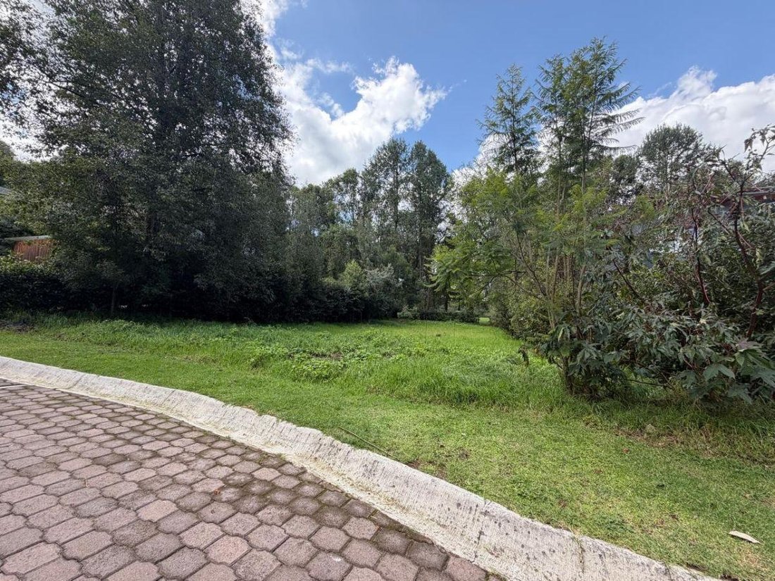 Land in Valle de Bravo, State of Mexico, Mexico 3 - 18473731