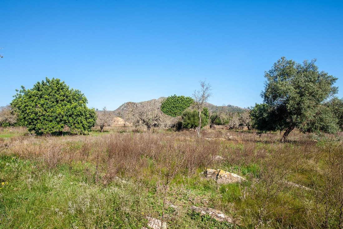 Terreno a Artà, Isole Baleari, Spagna 2 - 16188343