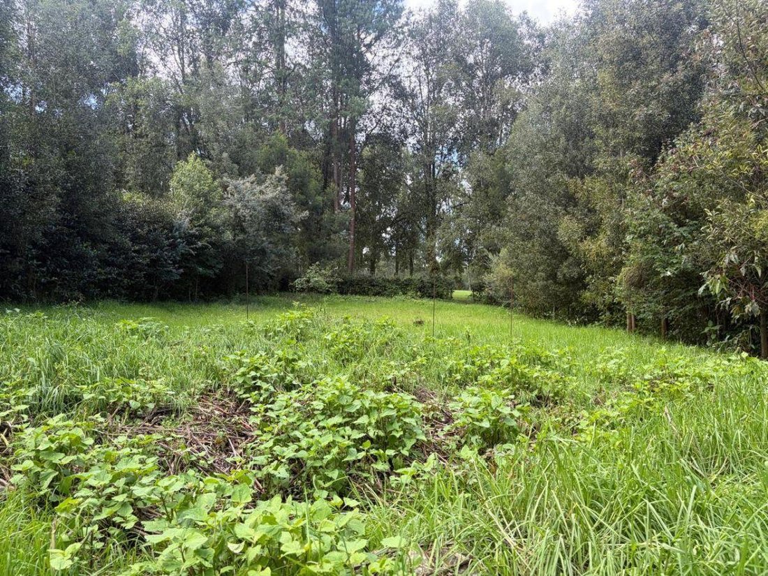 Land in Valle de Bravo, State of Mexico, Mexico 4 - 18473731