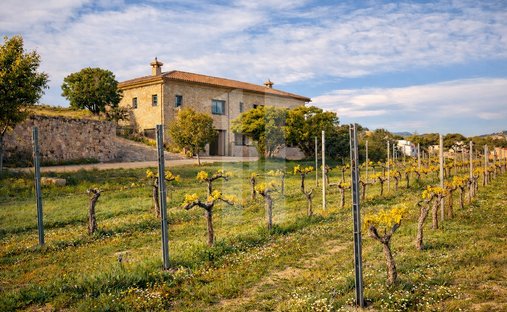 Finca in el Poble Nou de Benitatxell / Benitachell, Valencian Community, Spain 1