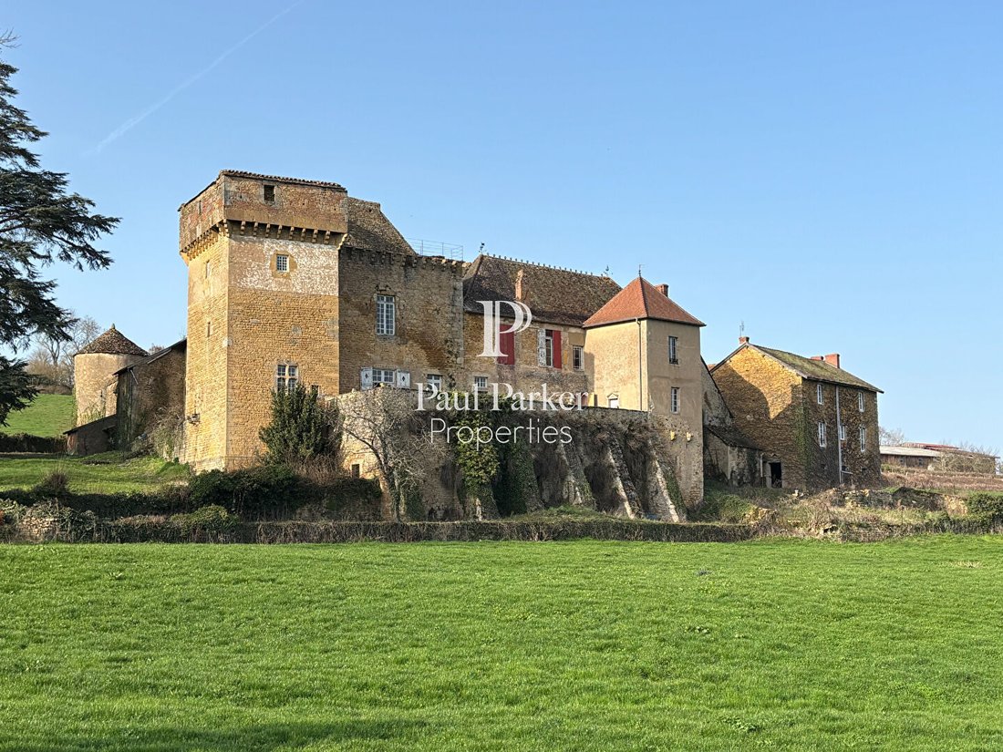 Chateau in Saint-Andre-le-Désert, Bourgogne – Franche-Comté, France 3 - 18473210
