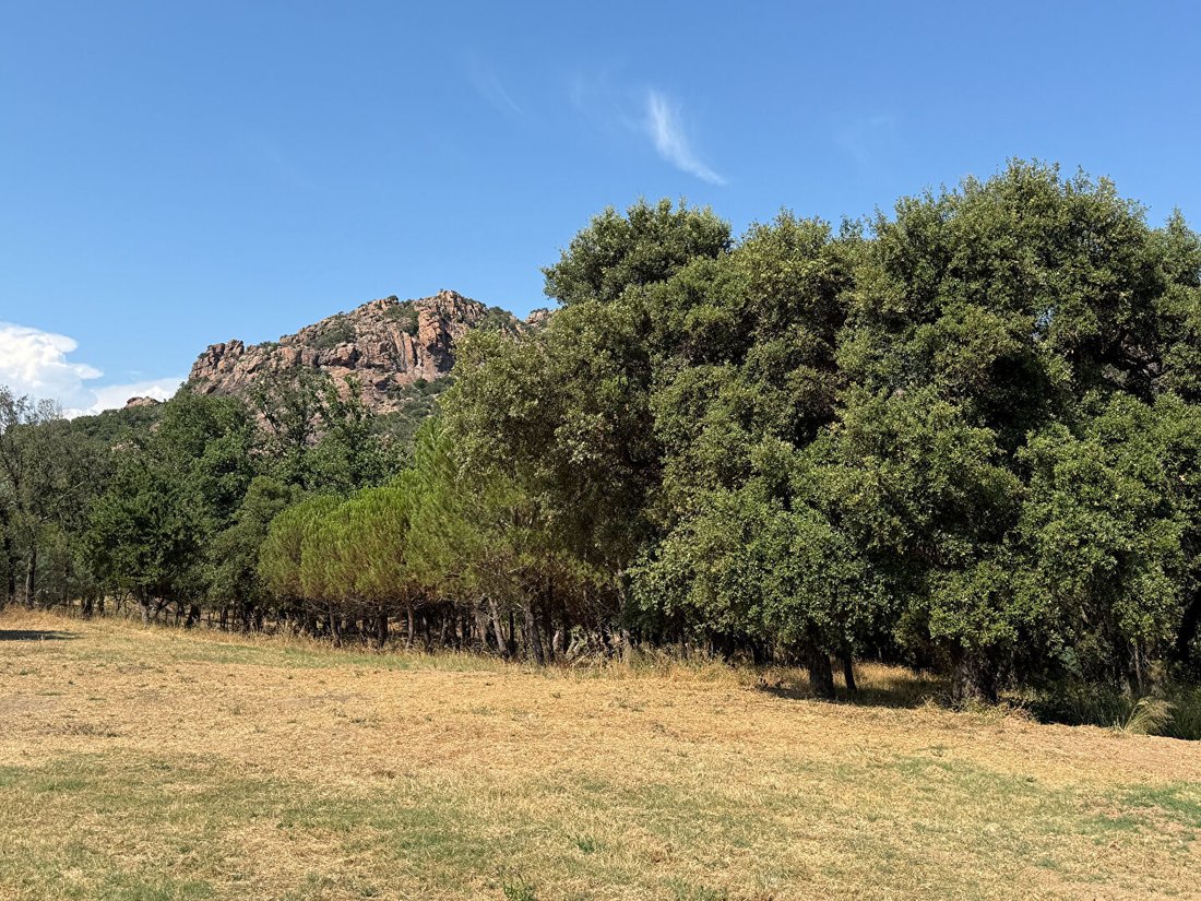 Villa in Ecarts, Roquebrune-sur-Argens, France 3 - 18473261