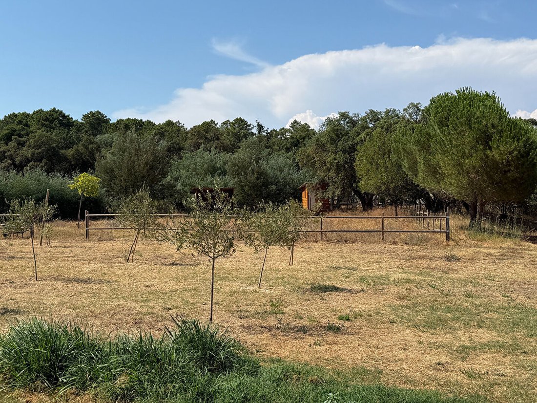 Villa in Ecarts, Roquebrune-sur-Argens, France 4 - 18473261