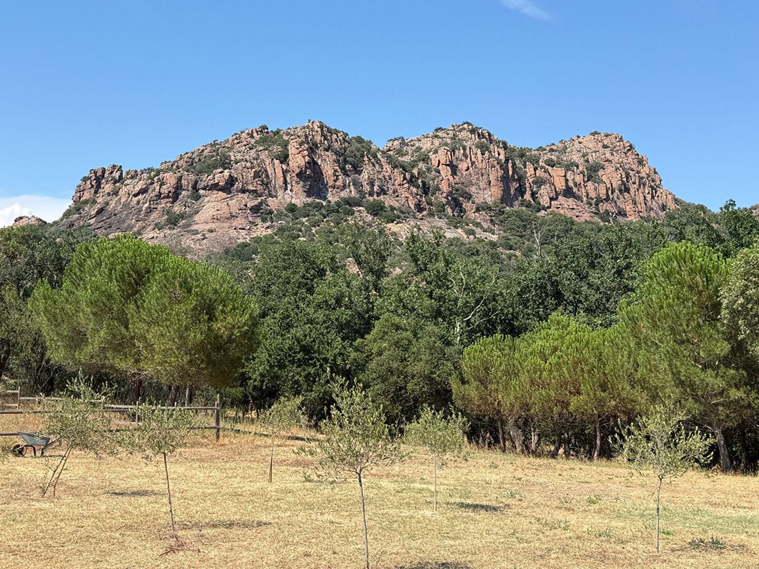 Villa in Ecarts, Roquebrune-sur-Argens, France 1 - 18473261