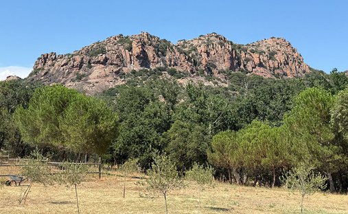 Villa in Ecarts, Roquebrune-sur-Argens, France 1