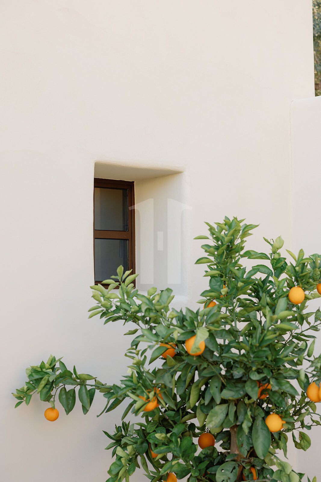 Villa in Xabia / Javea, Valencian Community, Spain 4 - 18475192