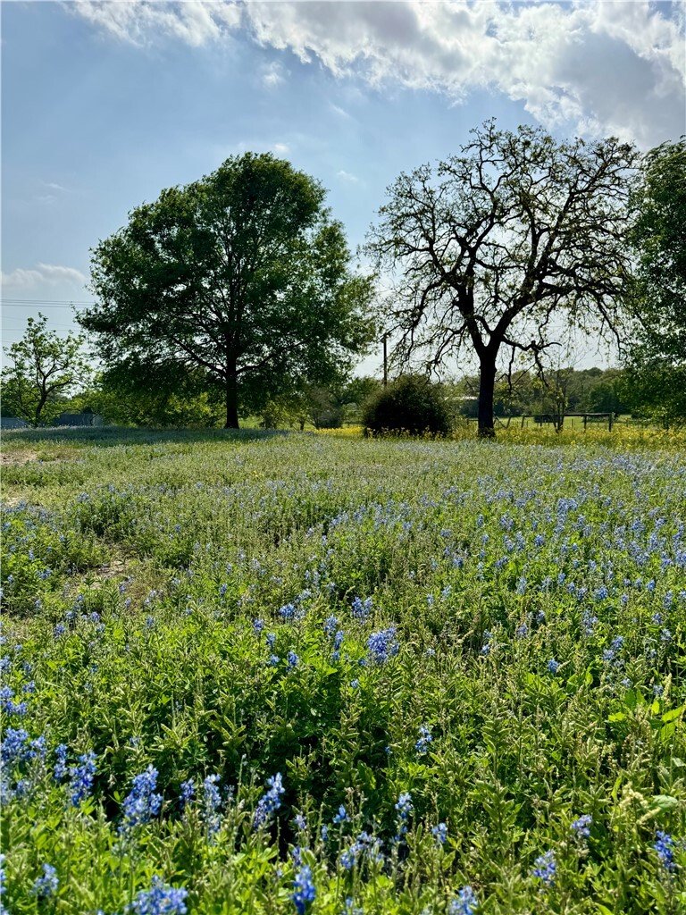 Corps de ferme à College Station, Texas, États-Unis 2 - 18473543