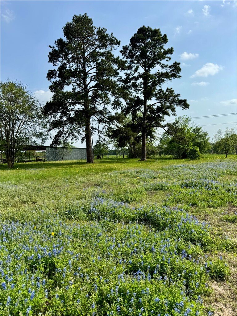 Corps de ferme à College Station, Texas, États-Unis 3 - 18473543