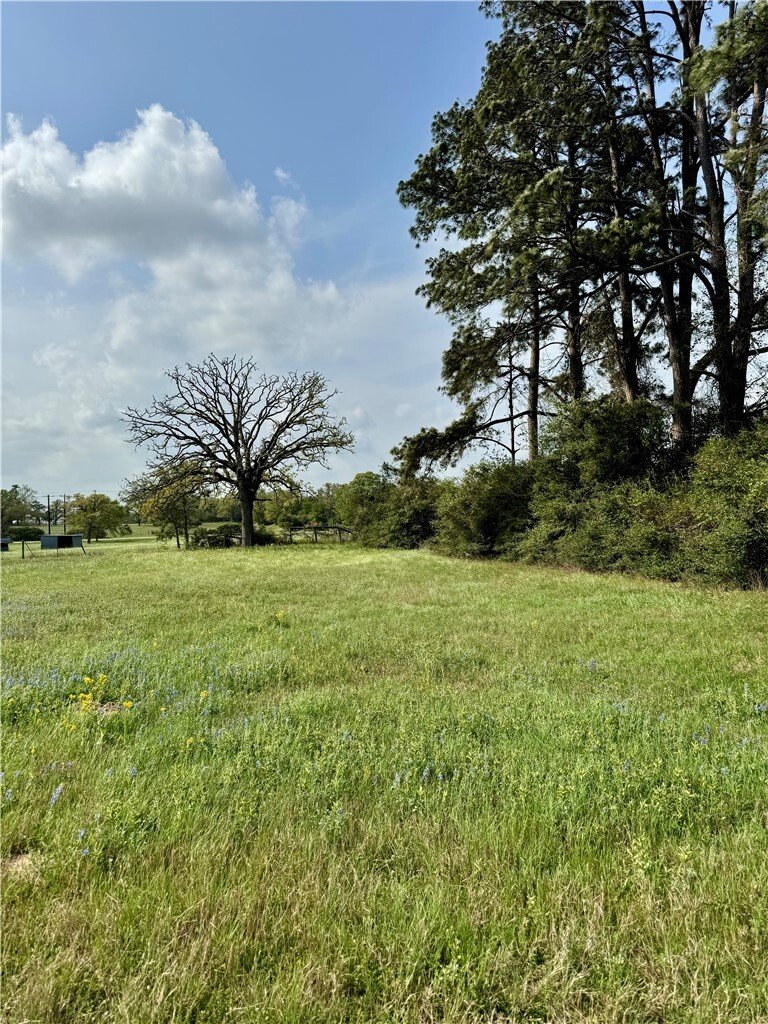 Corps de ferme à College Station, Texas, États-Unis 5 - 18473543