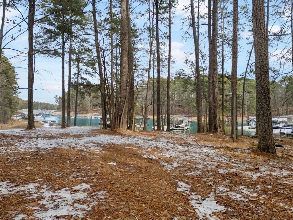 House in Buford, Georgia, United States 3 - 17393430