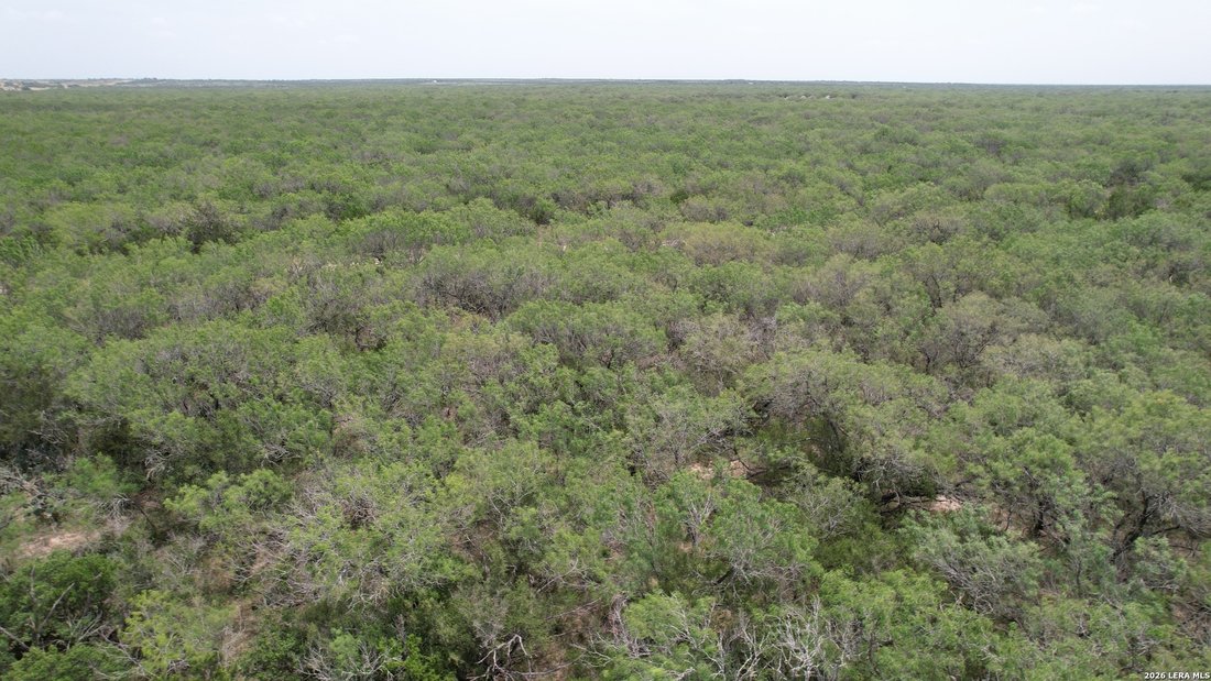 Farm Ranch in Benavides, Texas, United States 3 - 18478677