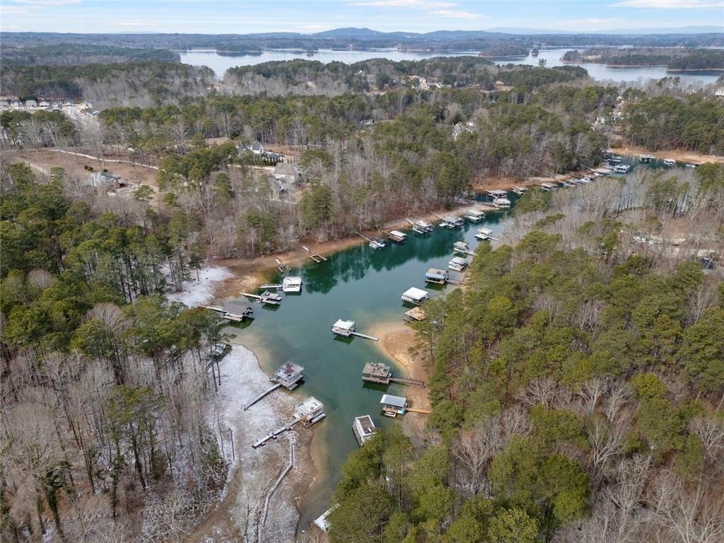 House in Buford, Georgia, United States 4 - 17393430