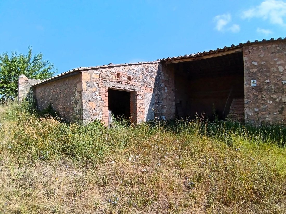 Farm Ranch in Sovicille, Tuscany, Italy 3 - 18477322