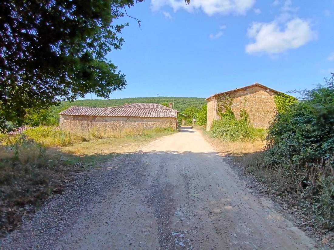 Farm Ranch in Sovicille, Tuscany, Italy 5 - 18477322