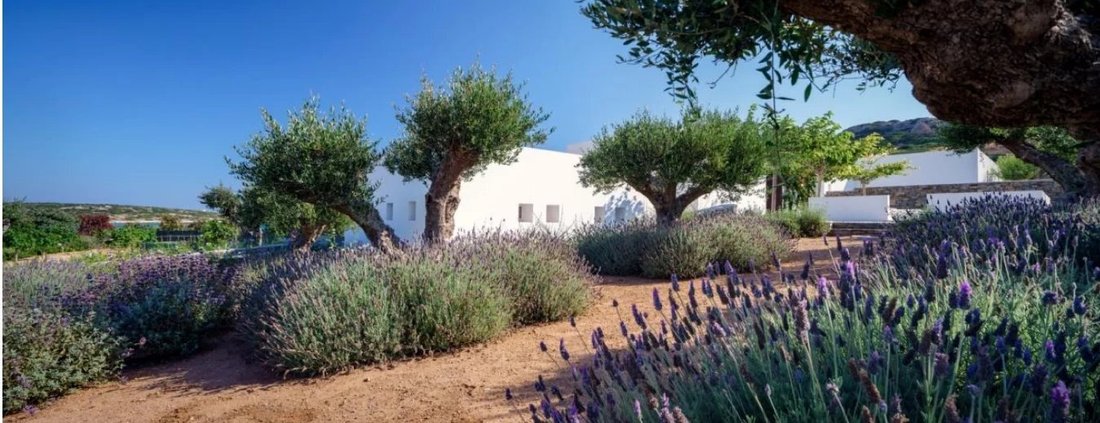 Villa in Paros, Aegean, Greece 3 - 14986451