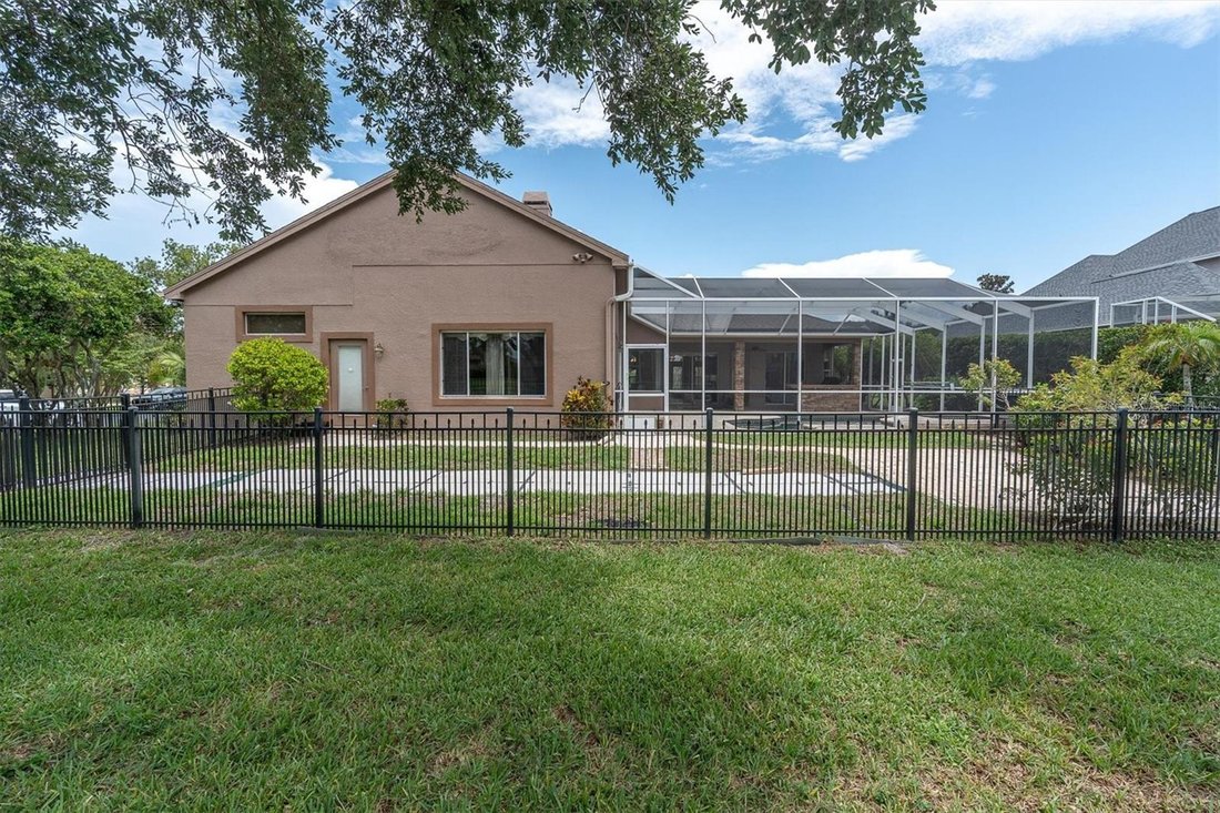 House in Palm Harbor, Florida, United States 4 - 18478686