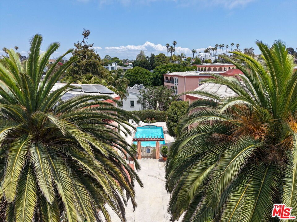 Santa Monica, California, United States 1 - 18479342