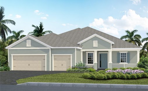 House in Venice, Florida, United States 1