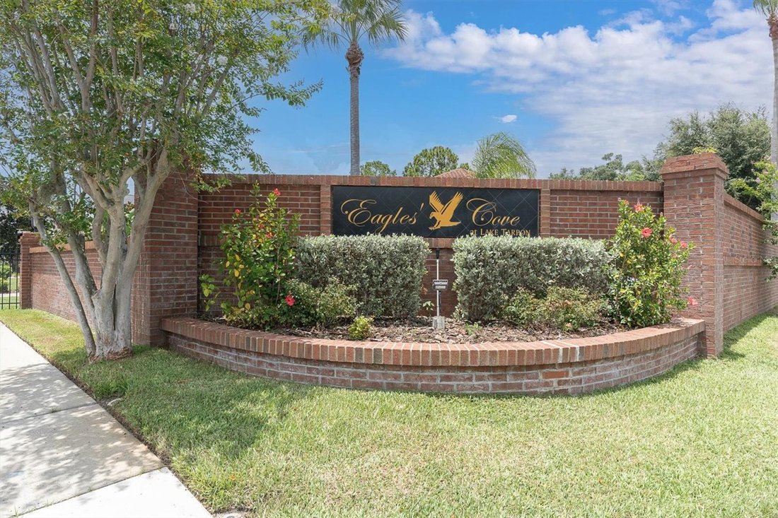 House in Palm Harbor, Florida, United States 2 - 18478686