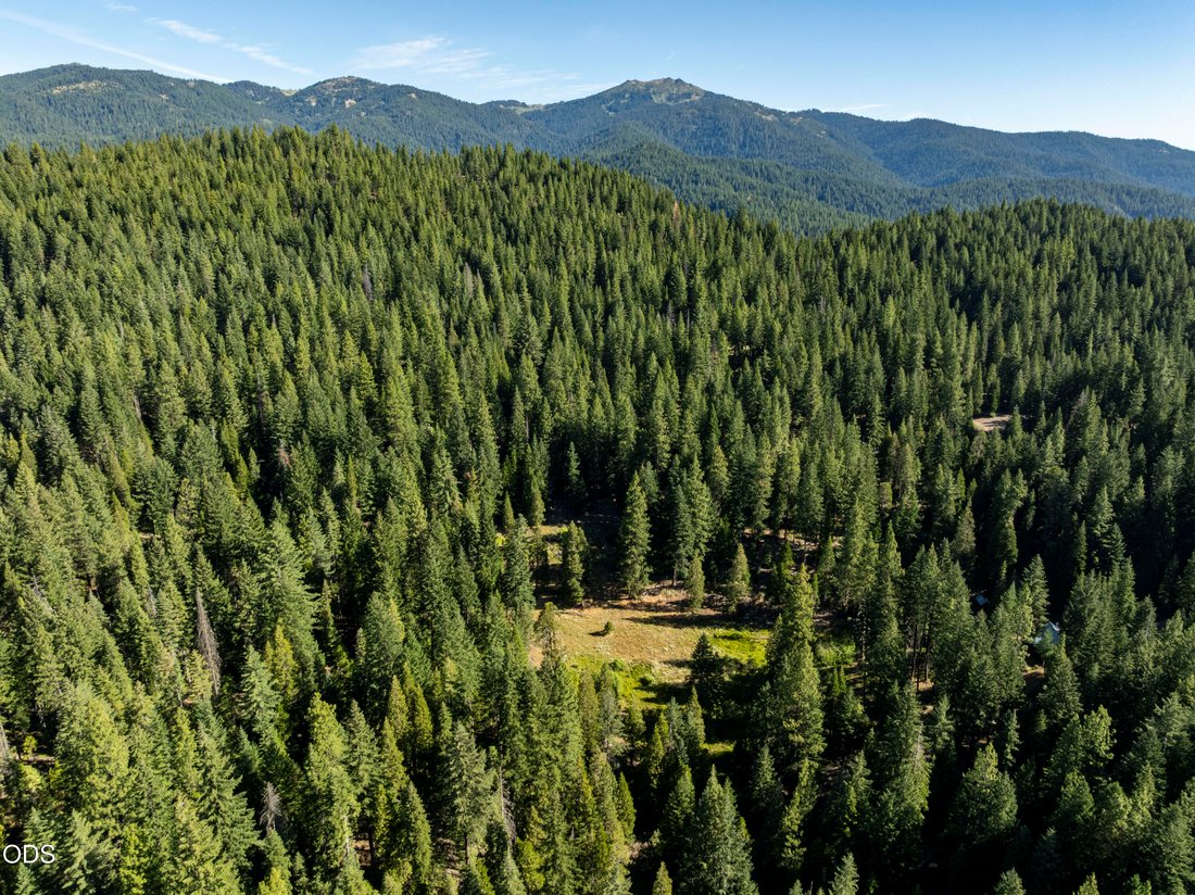 Farm Ranch in Ashland, Oregon, United States 2 - 18480725